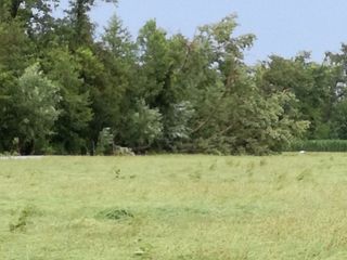 Danni da temporale a Trinità