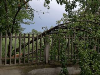 Danni da temporale a Trinità