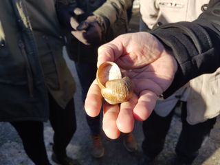 La chiocciola più bella