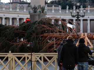 L'arrivo e la posa dell'abete in piazza San Pietro (Ph. Ansa Giupiemofoto)