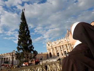 L'arrivo e la posa dell'abete in piazza San Pietro (Ph. Ansa Giupiemofoto)
