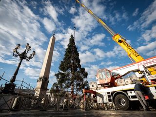 L'arrivo e la posa dell'abete in piazza San Pietro (Ph. Ansa Giupiemofoto)