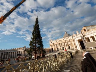L'arrivo e la posa dell'abete in piazza San Pietro (Ph. Ansa Giupiemofoto)