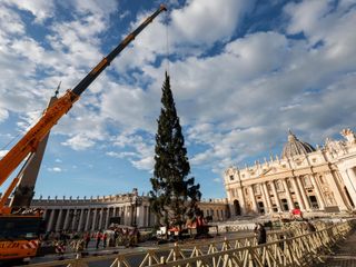 L'arrivo e la posa dell'abete in piazza San Pietro (Ph. Ansa Giupiemofoto)
