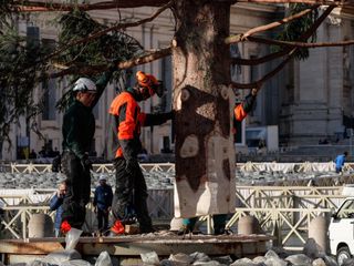L'arrivo e la posa dell'abete in piazza San Pietro (Ph. Ansa Giupiemofoto)