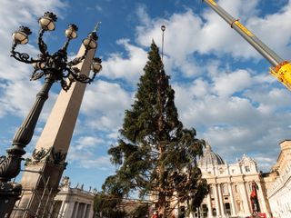 L'arrivo e la posa dell'abete in piazza San Pietro (Ph. Ansa Giupiemofoto)