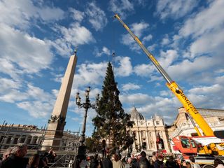 L'arrivo e la posa dell'abete in piazza San Pietro (Ph. Ansa Giupiemofoto)