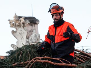L'arrivo e la posa dell'abete in piazza San Pietro (Ph. Ansa Giupiemofoto)