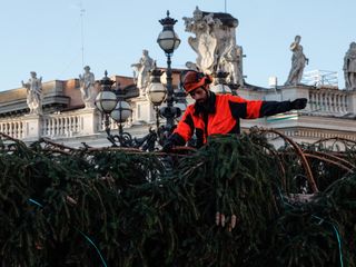 L'arrivo e la posa dell'abete in piazza San Pietro (Ph. Ansa Giupiemofoto)