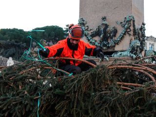 L'arrivo e la posa dell'abete in piazza San Pietro (Ph. Ansa Giupiemofoto)