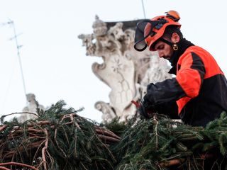 L'arrivo e la posa dell'abete in piazza San Pietro (Ph. Ansa Giupiemofoto)