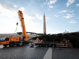 L'arrivo e la posa dell'abete in piazza San Pietro (Ph. Ansa Giupiemofoto)