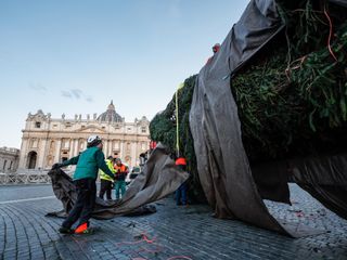 L'arrivo e la posa dell'abete in piazza San Pietro (Ph. Ansa Giupiemofoto)