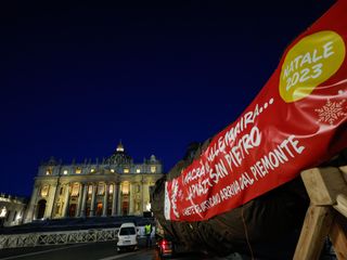 L'arrivo e la posa dell'abete in piazza San Pietro (Ph. Ansa Giupiemofoto)