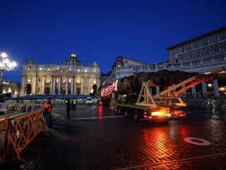 L'arrivo e la posa dell'abete in piazza San Pietro (Ph. Ansa Giupiemofoto)