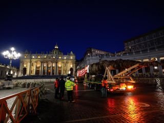 L'arrivo e la posa dell'abete in piazza San Pietro (Ph. Ansa Giupiemofoto)