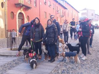 Saluzzo, Fitwalking del Cuore 2016 Saluzzo, Fitwalking del Cuore 2016