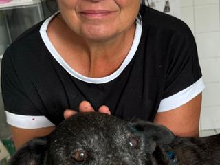 La cagnolina Ciccina