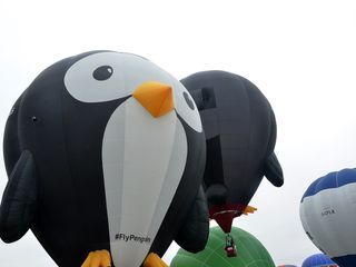 Puddles fotografato a Mondovì