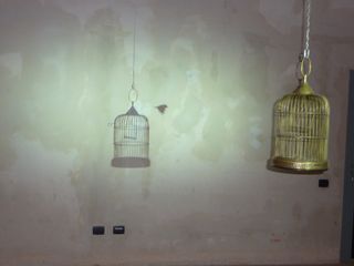 "Gabbia di uccello", se scossa da vita ad immagini surreali