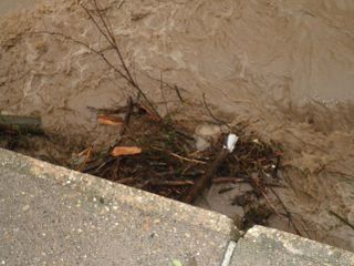 Il Mellea ostruito dai tronchi