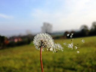 La fotografia premiata