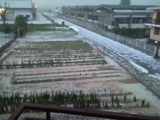 Campi imbiancati a San Rocco di Bernezzo