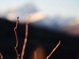 Gemme al Colle di Val di Mala