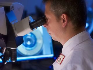 Ris di Parma - foto di repertorio