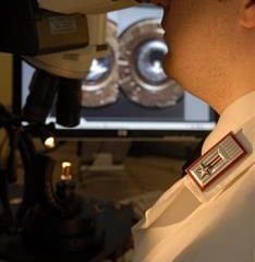 Ris di Parma - foto di repertorio