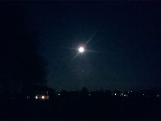 Borgo San Dalmazzo Borgo San Dalmazzo