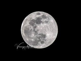 Foto di Vincenzo Nicolello Foto di Vincenzo Nicolello