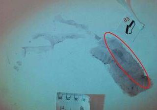 Caso Garlasco, consulenti divisi: certezze e dubbi sull'impronta 33