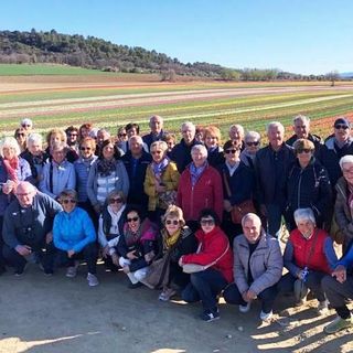 Foto di gruppo davanti ai campi di tulipani