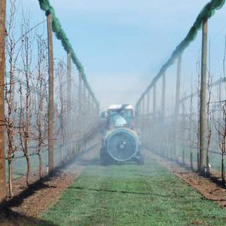 Trattamento con atomizzatore (immagine tratta dalla Guida all'uso corretto dei prodotti fitosanitari della Regione Piemonte)