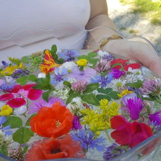 Acqua di San Giovanni e una tradizione che si rinnova: ecco come e quando prepararla
