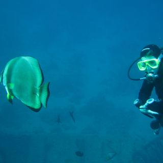 Lunedì 15 riprende l'attività del Mondovì Sub