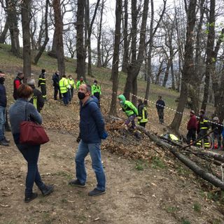 Tragedia a Venasca, uomo di 32 anni travolto da un albero a Bricco: da pochi mesi era diventato papà