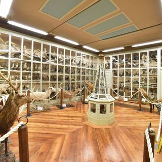 Bra ospita una conferenza sul ritorno naturale del lupo Bra ospita una conferenza sul ritorno naturale del lupo