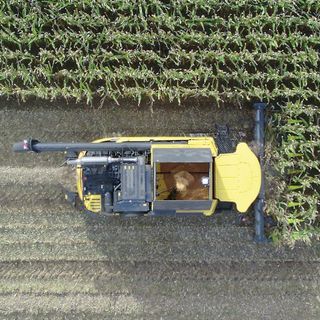 Con la stessa passata dragogt raccoglie il mais e l'andanatore crea l'andana dei residui