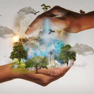 AWorld: l’app per monitorare la tua impronta di carbonio