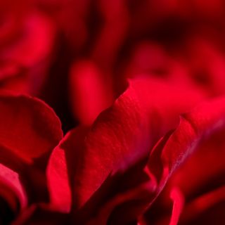 Connessioni intime su CAM4: esplorare la sensualità e la sessualità online