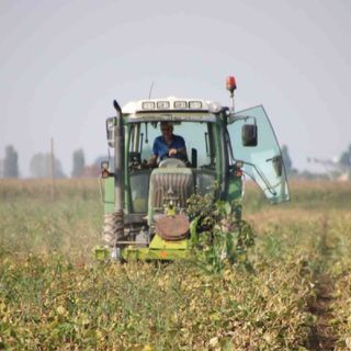 Coldiretti Cuneo: concessa l’assegnazione supplementare del gasolio