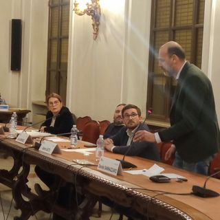 L'intervento di Davide Sannazzaro