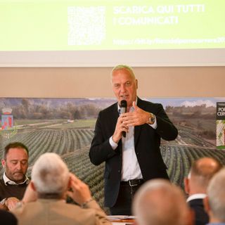 Fotogallery di Barbara Guazzone