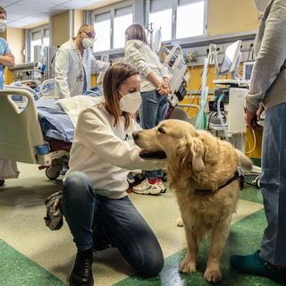 Compie dieci anni ASLAN, associazione che porta la pet therapy negli ospedali