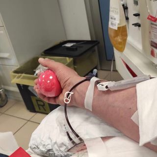 Appello dal Centro Trasfusionale di Cuneo: “Cerchiamo urgentemente donatori di gruppo 0 Rh neg” Appello dal Centro Trasfusionale di Cuneo: “Cerchiamo urgentemente donatori di gruppo 0 Rh neg”