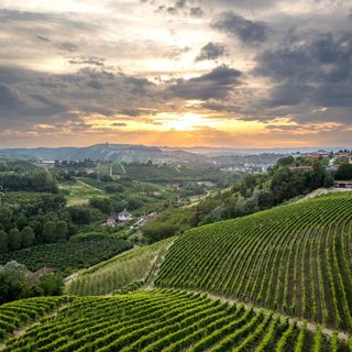 (credits: Lavezzo Studios) (credits: Lavezzo Studios)