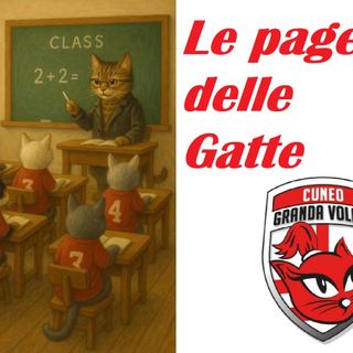 CBF Macerata-Honda Cuneo Granda Volley 2-3; Le pagelle delle "Gatte" CBF Macerata-Honda Cuneo Granda Volley 2-3; Le pagelle delle "Gatte"