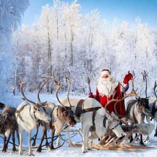Leggende natalizie: i nomi delle renne di Babbo Natale, non c’è solo Rudolph